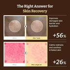 Dr. Reju-All Advanced PDRN Rejuvenating Cream (60ml)